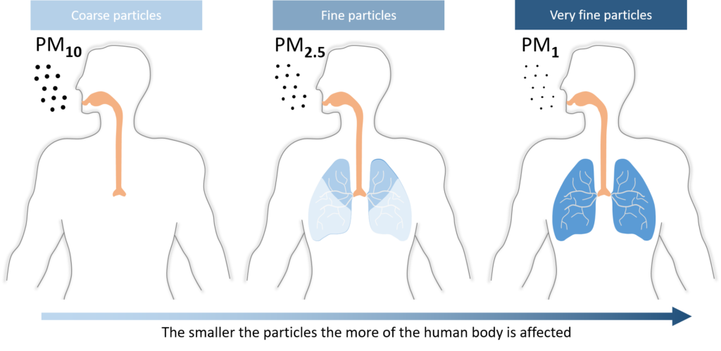 Schematics of body parts mainly affected by different sized particulate matter.